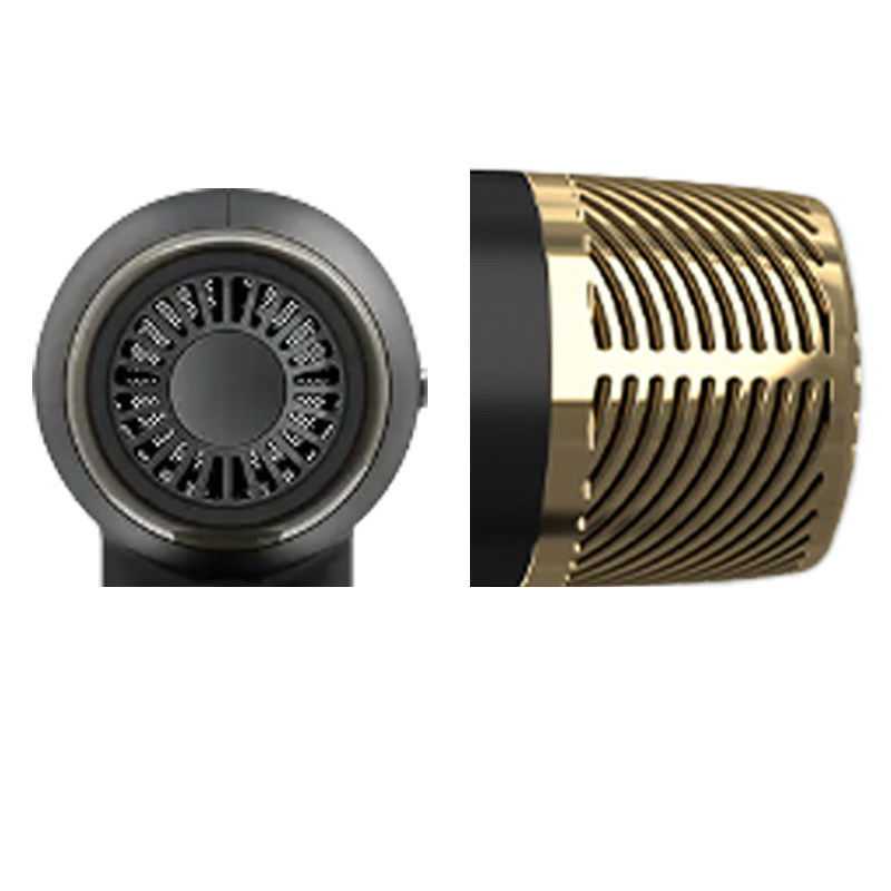 Estilo De Viagem Secador De Cabelos Blower Iônico Concentrador BLDC Motor Para Casa