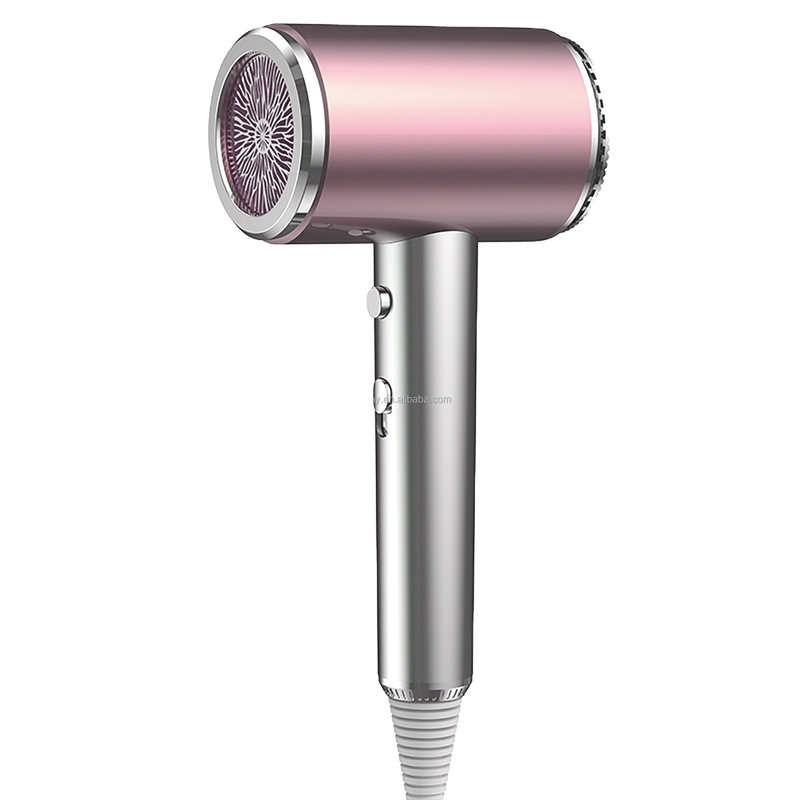 Aparelho de secagem de cabelo elétrico portátil de íons negativos 1500W para casa
