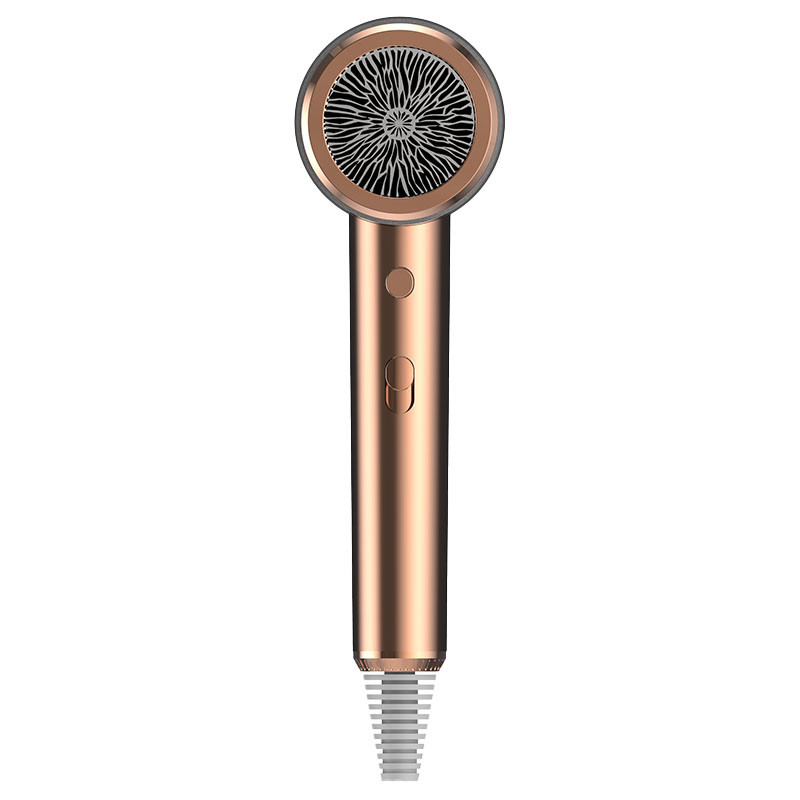 Aparelho de secagem de cabelo elétrico portátil de íons negativos 1500W para casa