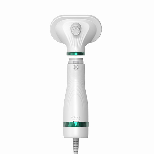 300W Multi Função 3 em 1 Pet Grooming Blower Barulho baixo Vento Constante Cachorro Cachorro Secador de Cabelos Pet