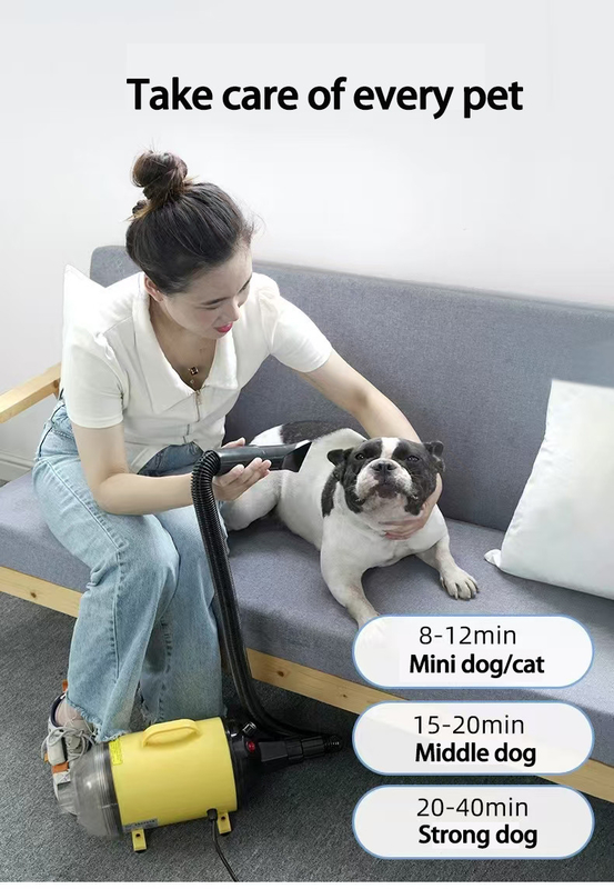 Secador de cabelo de animais de estimação de secagem rápida 4 em 1 Secador de cabelo silencioso profissional para cães gatos leve portátil